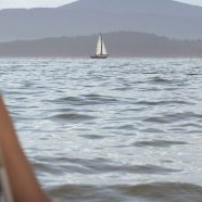 What is the Value of Financial Advice?